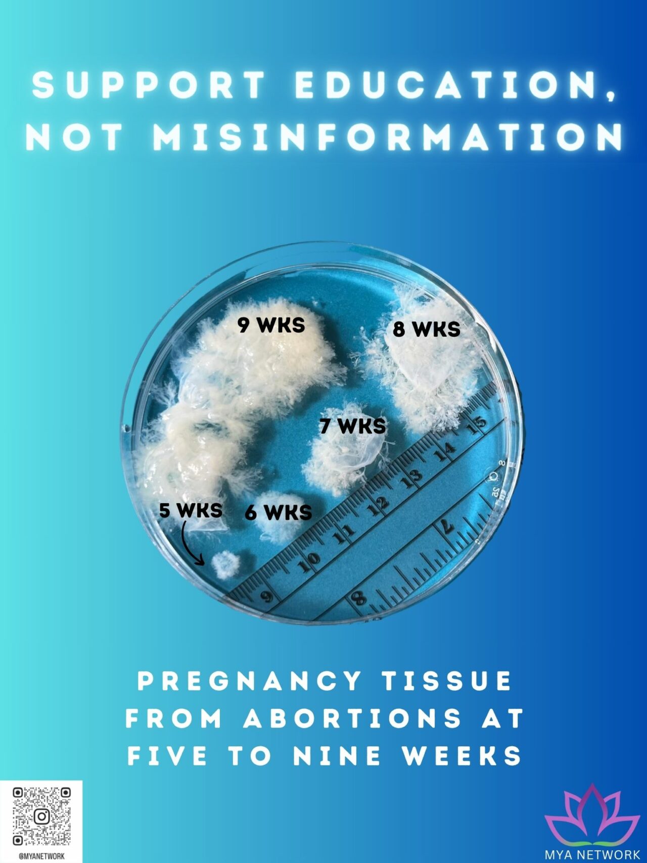 The Issue of Tissue - myanetwork